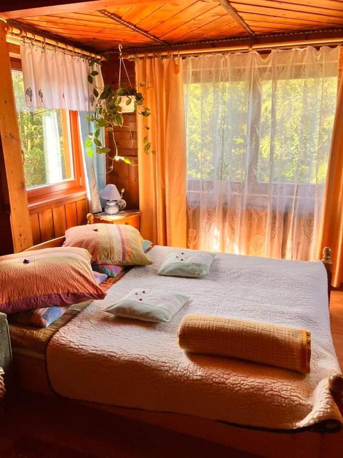 Chalupa Na Wierchu Zakopane Zewnętrze zdjęcie